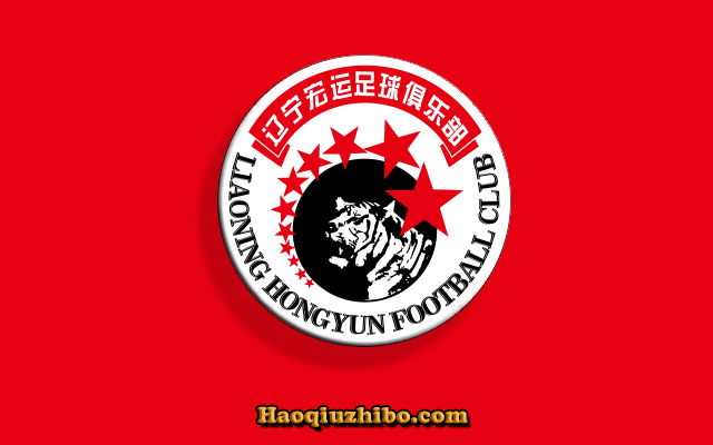 2013-2014赛季中超辽宁宏运球员大名单及最新阵容一览