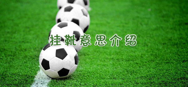 挂靴是什么意思_挂靴意思介绍