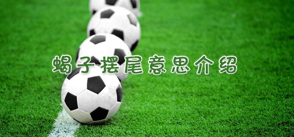 蝎子摆尾是什么意思_蝎子摆尾意思介绍