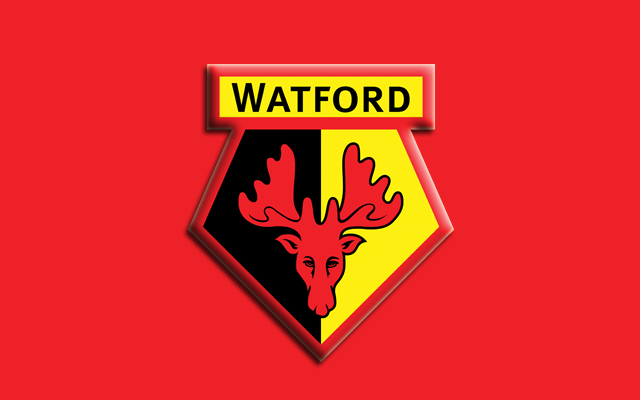 2019-20赛季英超沃特福德大名单,沃特福德最新阵容一览